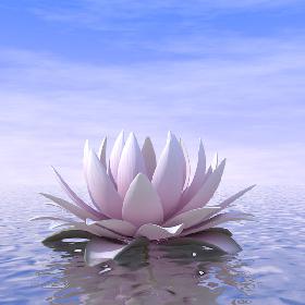 3D model Lotus Animated